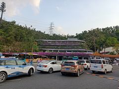 -深圳仙湖植物园-停车场