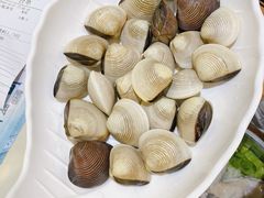 卜卜花甲白贝-丰尔粥食·粥底火锅(大良总店)