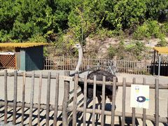 -博山九龙峪风景区