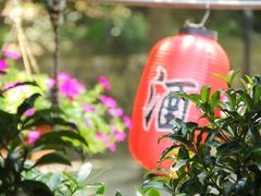 -国生茶庄·地道农家菜团建活动