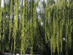 景点-玲珑塔公园