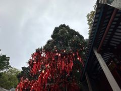 -国恩寺
