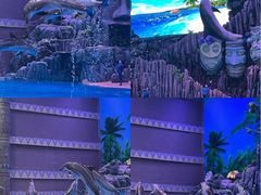 -珠海长隆海洋王国