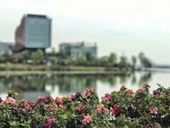 -星巴克(成都科学城店)