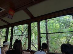 -合肥滨湖国家森林公园