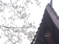 -堤角公园