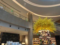 -Plush大堂酒廊(北京金融街威斯汀大酒店)