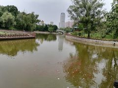 -迎泽公园