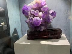 -河南自然博物馆