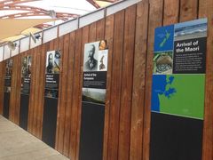 -怀托摩萤火虫洞