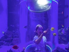 -芜湖新华联大白鲸海洋公园