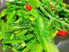 清炒油麦菜-本来精品川菜(嘉里中心店)