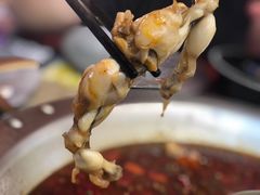 鸡汤鸳鸯锅-蛙宴·美蛙火锅基地(万象城店)