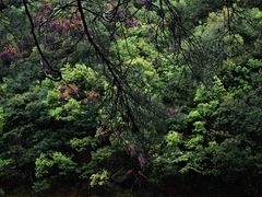 -鄣山大峡谷