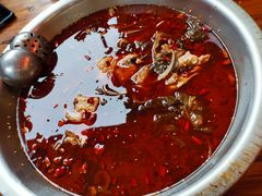 -重庆鱼美佳火锅(四川师大店)