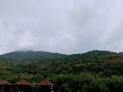 -北京十三陵国家森林公园蟒山景区