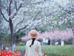 -白塘生态植物园