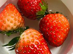 -水果地带(天顺路店)