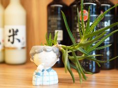 -发酵食堂(屏风街店)