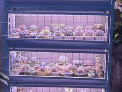 -琥珀老六龙虾(四里河店)