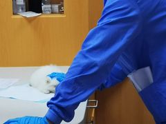 -联合动物医院(光谷诊疗中心)