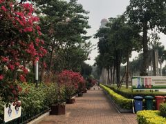 -五通灯塔公园