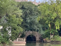 景点-红梅公园