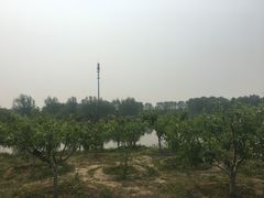 -永定河休闲森林公园