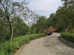 -田心森林公园