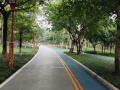 -眉山湿地公园(东坡区)