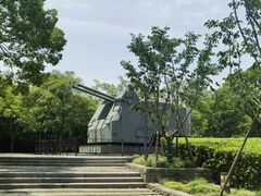 -上海吴淞炮台湾国家湿地公园