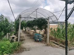 -美家乐农庄·露营·团建(大治路店)