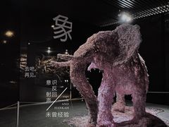 -成都许燎源现代设计艺术博物馆