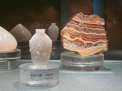 -中国地质博物馆