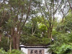 -虎跑公园