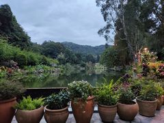 -深圳仙湖植物园