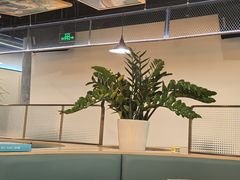 -小田油焖小龙虾(双井店)