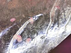 景观位-竹外桃花·江南小酒馆(SKP·S店)