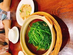 -熠盛粤味·顺德桑拿鸡(永康路店)