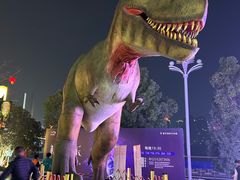 -重庆国际马戏城