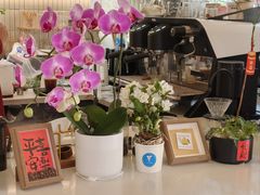 -E SPECIAL COFFEE 别样