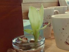 -猫的天空之城概念书店(杭州南宋御街店)