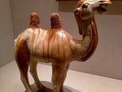 -深圳博物馆(古代艺术馆)