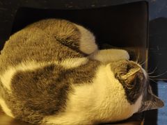 -后院儿·精酿·塔罗Happy Bar