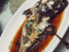 -頂好酒家·经典粤菜(海信广场店)