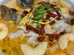 -花溪雨·森林餐厅(石基店)