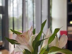 -京梟红茶楼(方恒购物中心店)