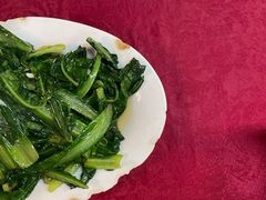 蒜蓉油麥菜-蛇口康乐快餐鱼仔档(翠苑小区店)