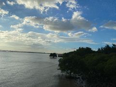 -宝安西湾红树林湿地公园