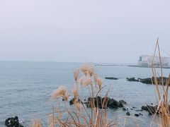 -龙头岩(Dragon Head Rock)